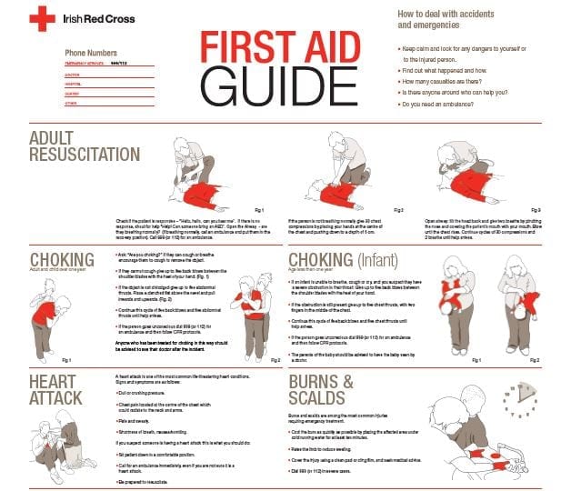 free-first-aid-red-cross-child-cpr-labor-law-poster-2024