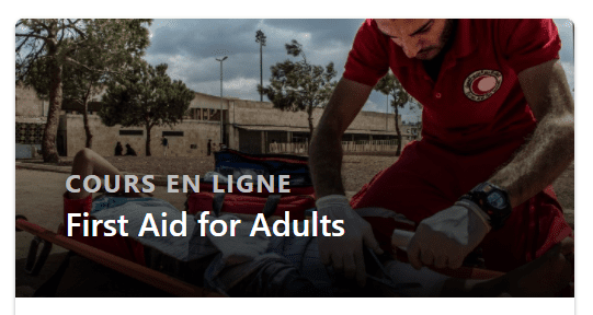 Online course: First Aid for Adults